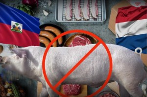 Haïti interdit l’importation de la viande porcine de la République dominicaine