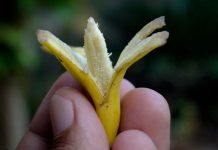 Case Presentation: When is a penis too small ?