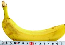 Présentation de cas : Quand un pénis est-il trop petit ?