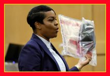 Ron DeSantis Appoints Haitian-American Pascale Achille to the Bench: A Triumph of Merit and Professional Excellence