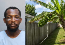 Haitian Man Accused of Trying to Kill Neighbor Over Large Bunch of Bananas Hanging Into Neighbor’s Yard