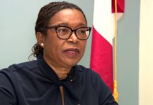 Florida Democrats Tap Haitian-American Rep. Marie Woodson to Mobilize Haitian Voters